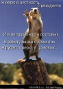 Фотография Калмыкова Никиты