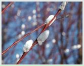 Лідія Подолей фотография #19 (источник - https://vk.com/id93000801)