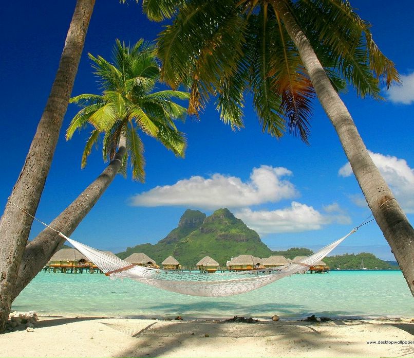 Дмитрий Виноградов фотография #25