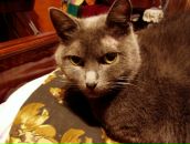 Фотография Карсаковой Алексашки