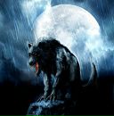 Андрій Дрозд фотография #13 (источник - https://vk.com/id156019667)