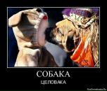 Віталік Вольт фотография #37 (источник - https://vk.com/id2228781)