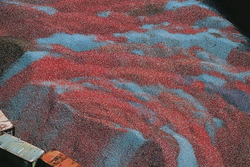 Ирина Мальцева фотография #26