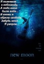 Эдвард Каллен фотография #24 (источник - https://vk.com/id78413854)