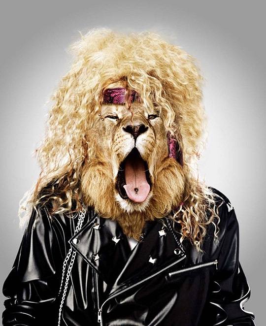 Дмитрий Маленко фотография #40