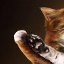 Марінка Баштан фотография #24 (источник - https://vk.com/id70088006)