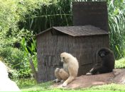 Фотография Кориковой Любови