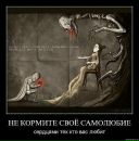 Фотография Sergeeva Иннели