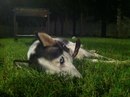 Kaya Kaya фотография #10 (источник - https://vk.com/id160762669)