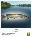 Андрій Жадан фотография #21 (источник - https://vk.com/id24173571)