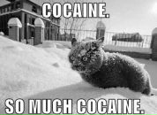 Фотография Горбушкина Сережи