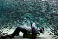 Мариам Давыдова фотография #15 (источник - https://vk.com/id900346)