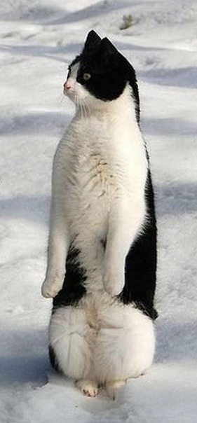 Игорь Баранов фото №24