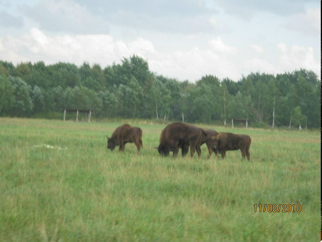 Сергей Малашенко фотография #13