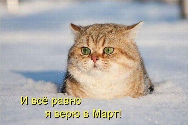 №6, Виктор Страданченков, 45 лет, Новочеркасск №6, Виктор Страданченков, 45 лет, Новочеркасск