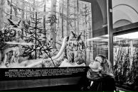 Фотография Быковой Марии