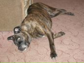 Фотография Ито Оксаны