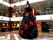 Андрій Цебринський фотография #30 (источник - https://vk.com/id106049105)