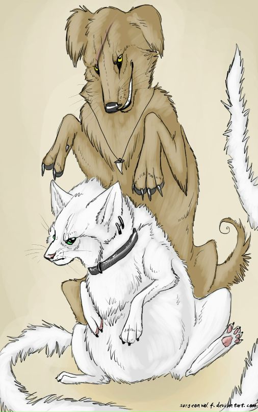 Салли Эсбэка фотография #10