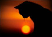 Фотография Воробьевой-Булдаковой Евгении