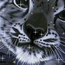 Віталік Сивий фотография #7 (источник - https://vk.com/id155044234)