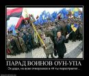 Вика Кокоткина фотография #23 (источник - https://vk.com/id213755475)