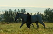 Фотография Шевченко Кати