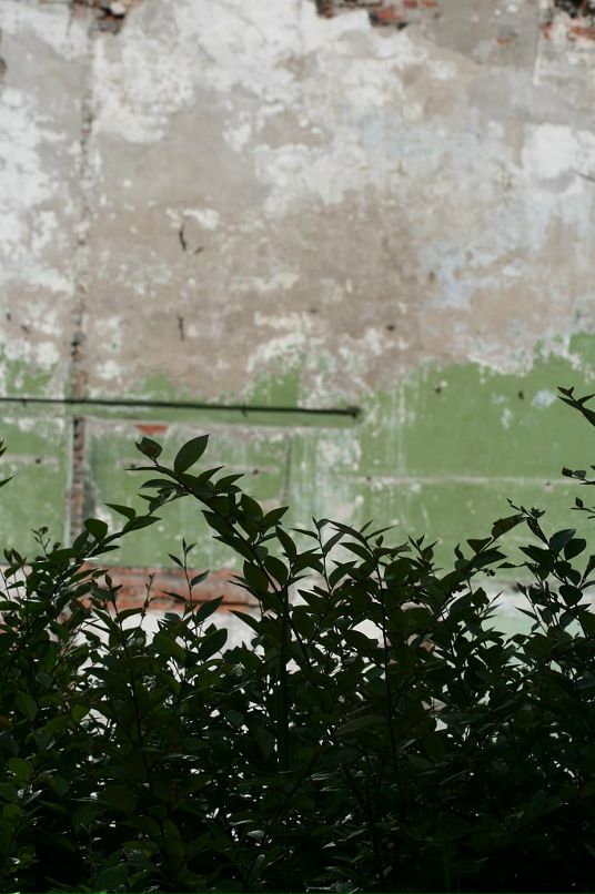 Степан Малохатько фотография #11