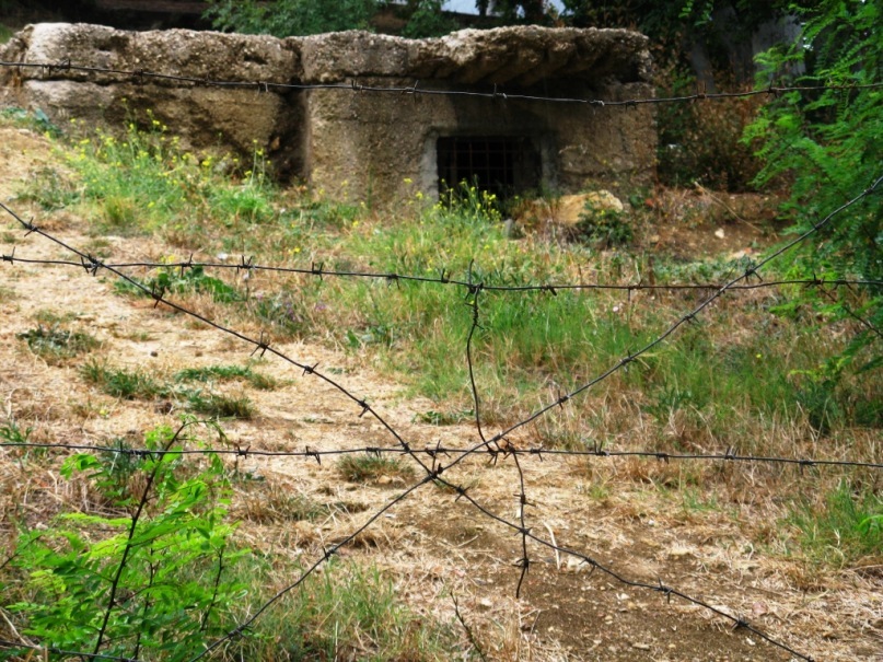 Лев Толстой фотография #45