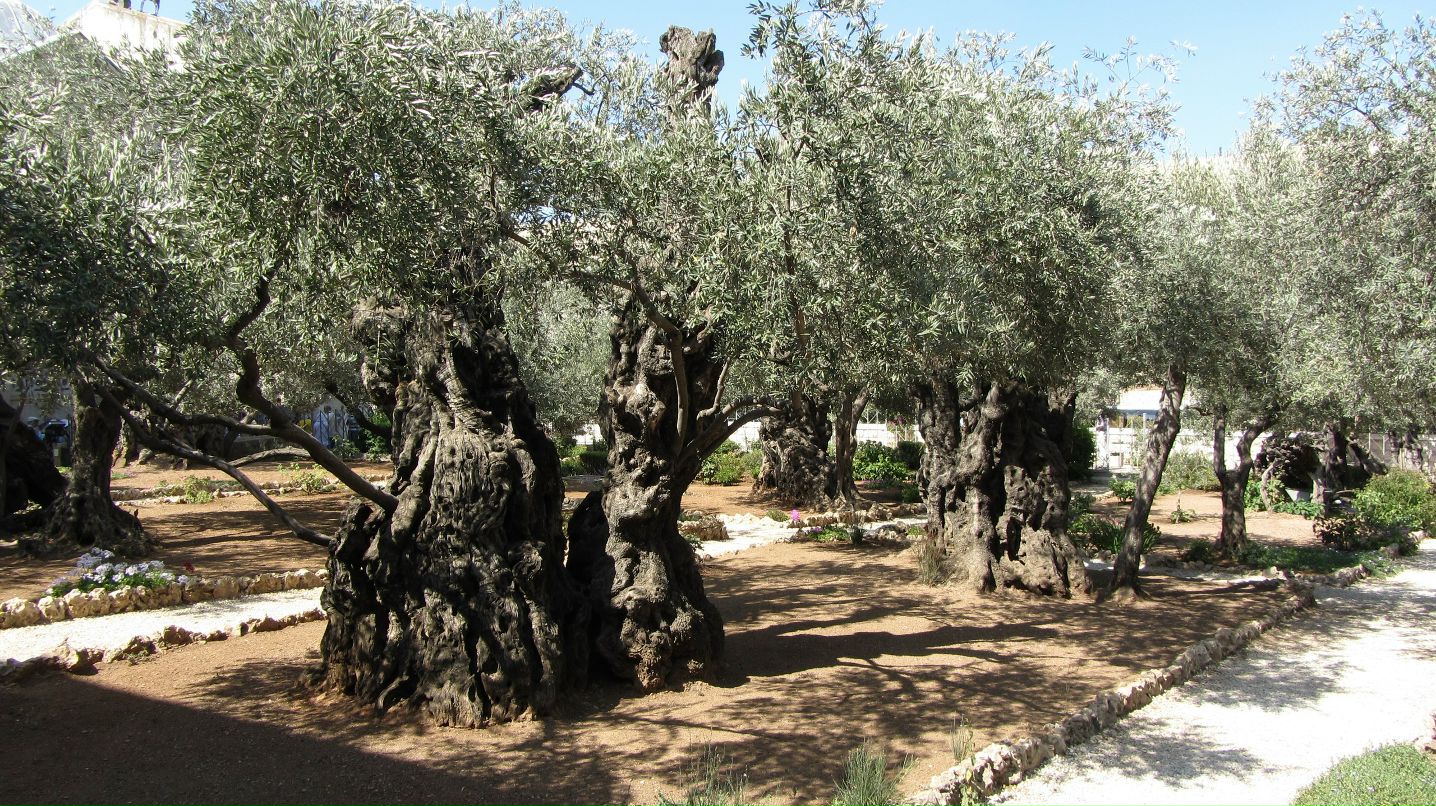 Сергей Лавришко фотография #25