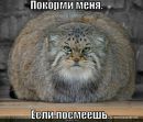 Фотография Богданова Татьяна