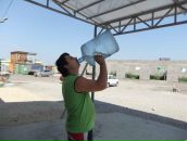 Фотография Шайко Юлия