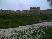 Анна Матюшенко фотография #32 (источник - https://vk.com/id1001747)