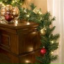 Фотография Хвощевского Ивана