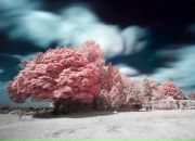 Макс Спицын фотография #44 (источник - https://vk.com/id3824919)