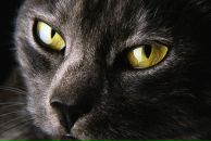 Фотография Михайловны Марины