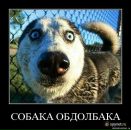 Андрій Гульчук фотография #26 (источник - https://vk.com/id21827585)