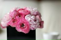 Иван Делов фотография #25 (источник - https://vk.com/id4538633)