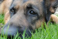 Фотография Тарабриной Елены