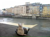 Семён Чегетов фотография #2 (источник - https://vk.com/id1175716)