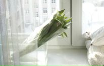 Anna Fridman фотография #37 (источник - https://vk.com/id97020)