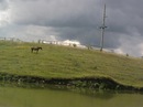 Анастасія Стефанська фотография #33 (источник - https://vk.com/id134352865)