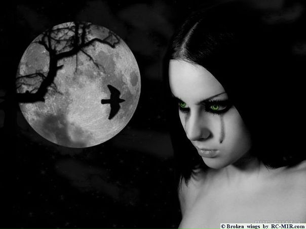 №13, Альбина Базарова №13, Альбина Базарова