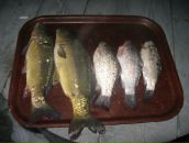 Ігор Лисенчук фотография #15 (источник - https://vk.com/id131663048)