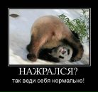 Фотография Эджибова Михаила