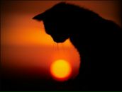 Фотография Золотухиной Ольги