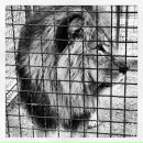 Фотография Дручинина Юрия