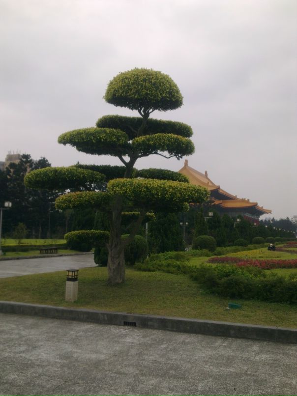 Tg Tu фотография #42