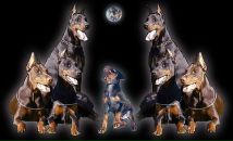 Діма Нікітін фотография #21 (источник - https://vk.com/id38752740)