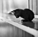 Фотография Хорошиловой Юленьки